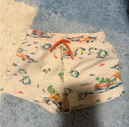 Zara Boys Swim Trunks 2-3 Years 