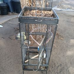 Bird Cage