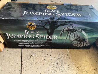 Halloween decorations