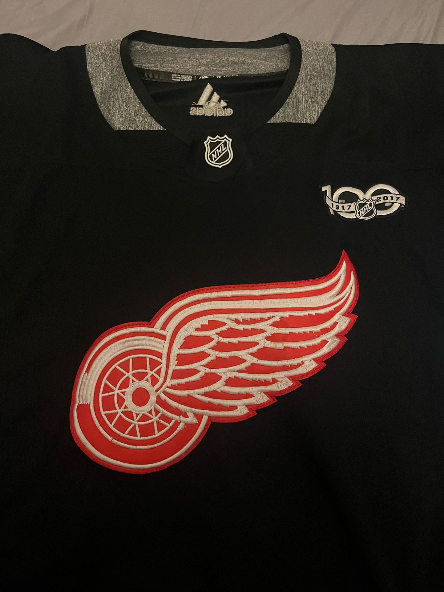 Detroit Redwings NHL jersey