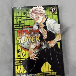 Demon Slayer  Manga Vol 17