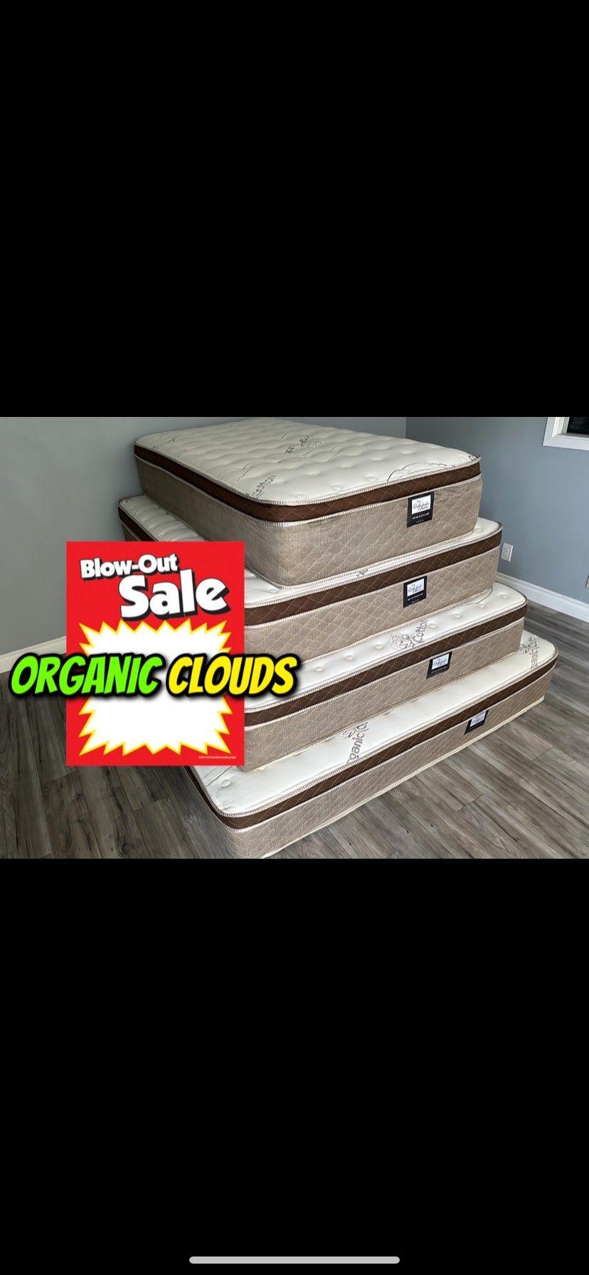 Queen Size Organic Cloud Comfort Europillowtop 12in