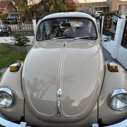 1971 Volkswagen Beetle 