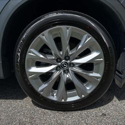 You Need Your Car Detailed?