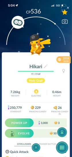 Shiny Fragment Pikachu