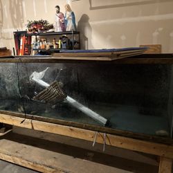 220 Gal reptile tank 