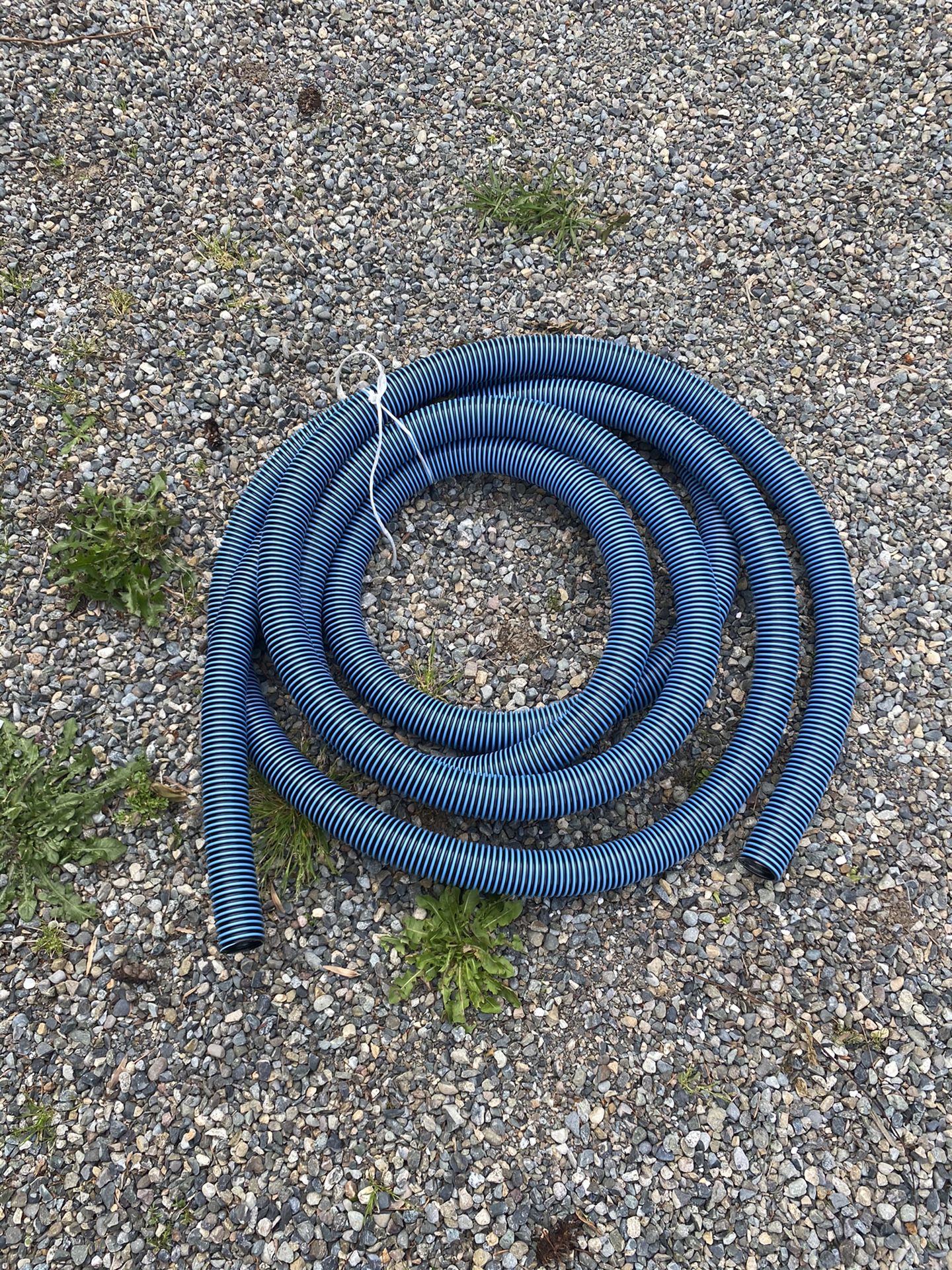 Pool vacuum hose