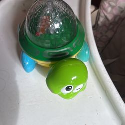 Kids Turtle 🐢 Lights Up