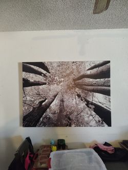 Wall Art