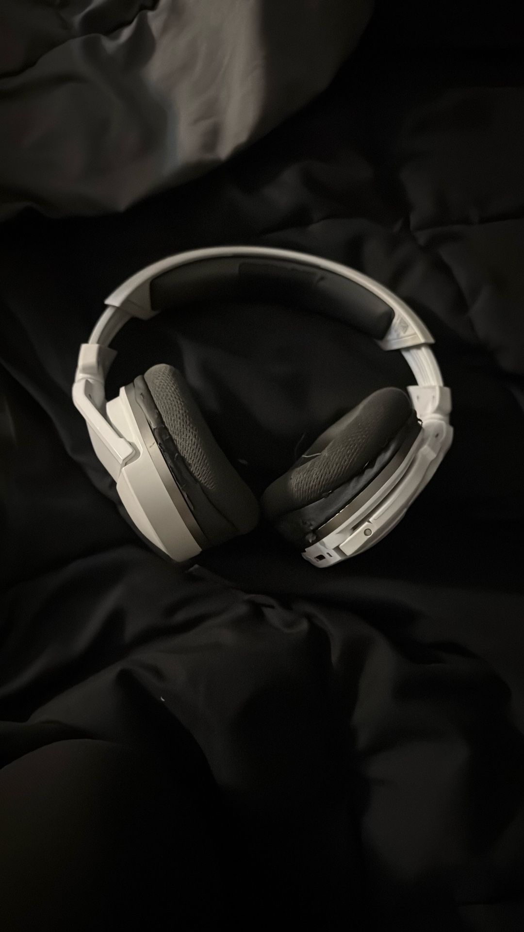 Turtle Beaches Headphones