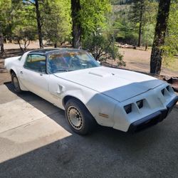 1981 Pontiac Firebird
