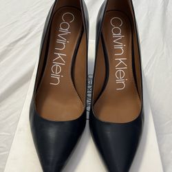 Calvin Klein Women's Gayle Pointy Toe Stiletto 