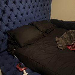 Johnnay Upholstered Platform Storage Bed Queen