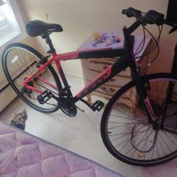 Fitness Bike Spinfit700c