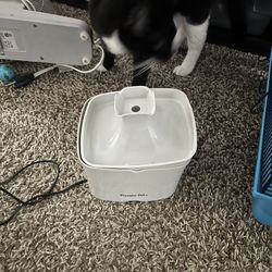 Cat Electric Water Tower