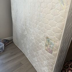 Queen Mattress 
