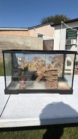 Reptile tank
