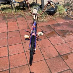 Schwinn bicycle