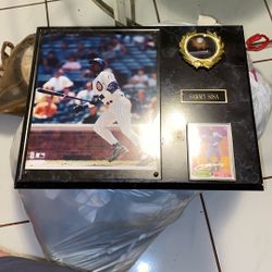 Sammy Sosa Picture And Card Frame