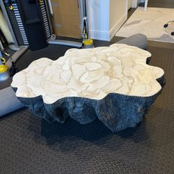 Palocek Ursula Fossilized Clam Coffee Table