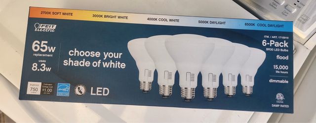 Feit electric bulb