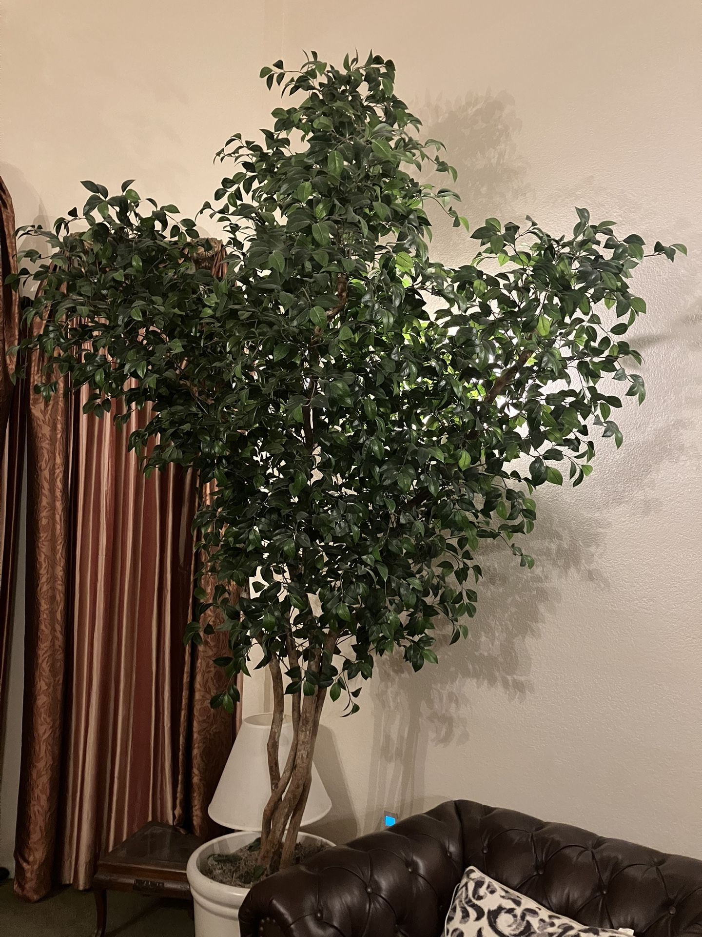 High End Silk Tree