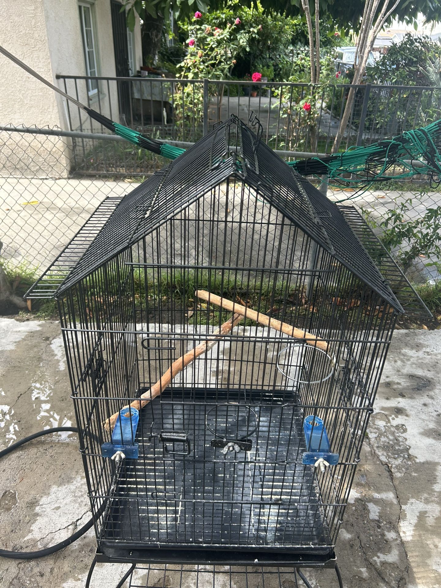 Bird Cage
