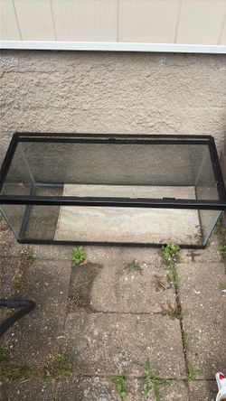 Reptile tank