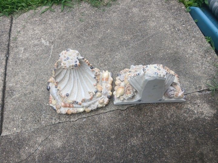 Seashell Hanger Ornament
