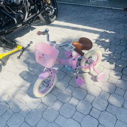 JOYSTAR Little Daisy Kids Bike for Girls Boys Ages 2-7 Years, 12 14 16 Inch Girls Bikes with Doll Bike Seat & Streamers, Boys Bike with Flag & Number 