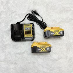 Dewalt Batteries & Charger Kit 