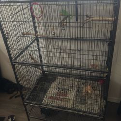 Bird Cage W Accessories 