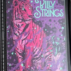 Billy Strings  Marymoor Park  Redmond Show Poster