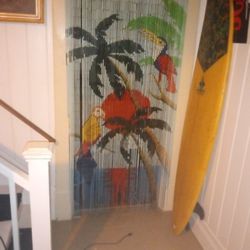 Door Separator And Bamboo Very Rare Usually I'm Done In Bed With The Tropical Painting With Words