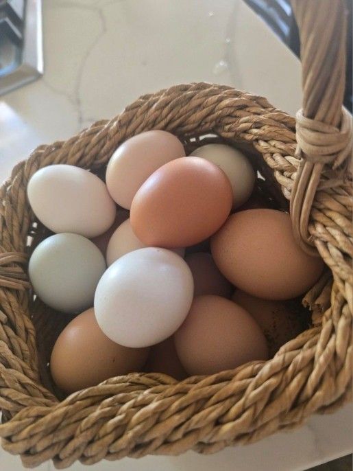 Fresh Farm Eggs