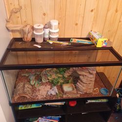 Reptile Terium Cage 