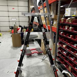 Little Giant Caged Ladder