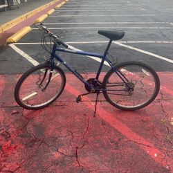 Men’s Bike 