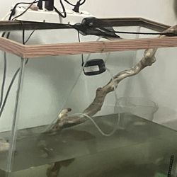 45 Gallón Tank For reptiles 🐊 