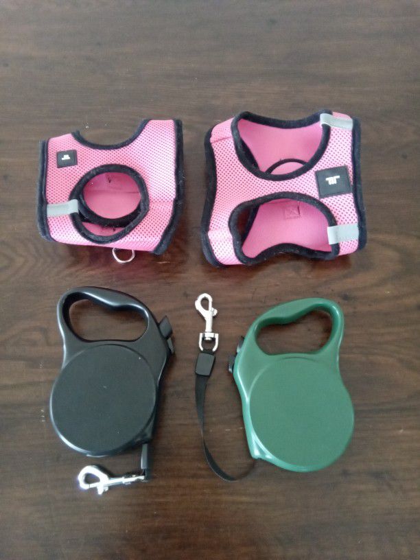 Leash and Harness for Small Dogs and Cats