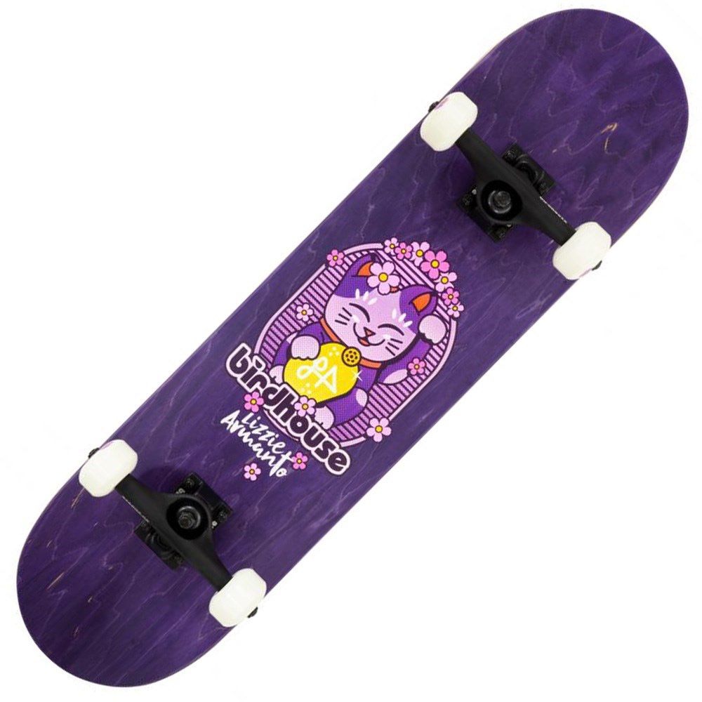 Birdhouse Skateboard