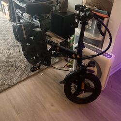 Electric Bike