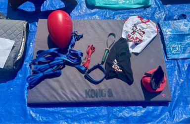 Dog accessories bundle