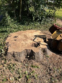 Stump Grinding 