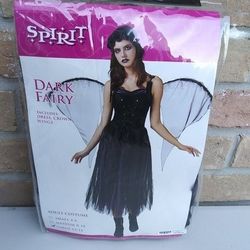 Renaissance Fair Fairy costume