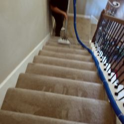 Carpet Cleaner