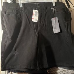 Torrid Shorts