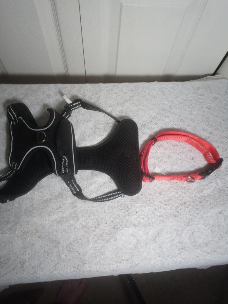 Dog Collar Harness And Bed New Never Used