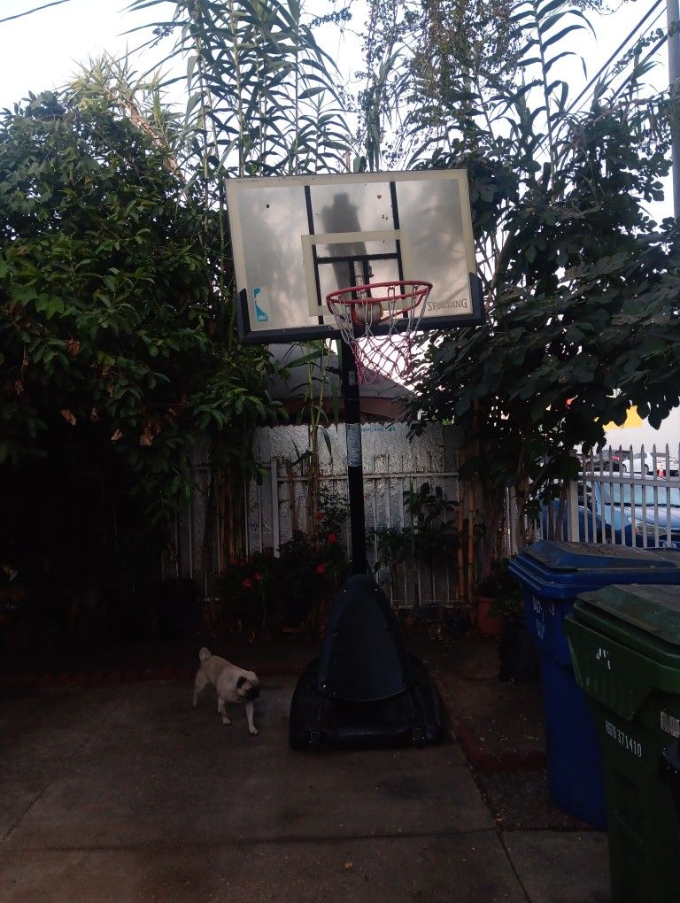 Basketball 🏀 