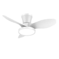 ocioc Quiet Ceiling Fan with LED Light DC motor 32 inch Cross-Posted